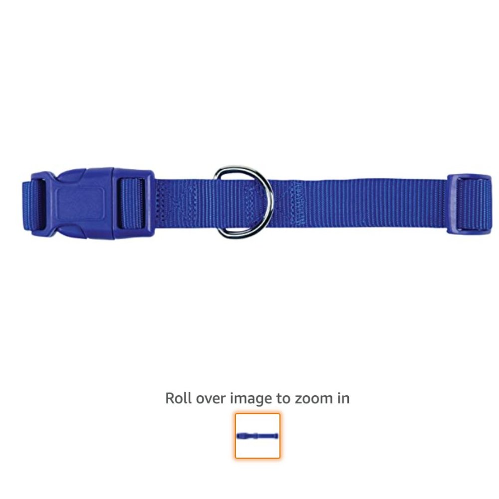 Zack & Zoey 1" Nylon Pet Collar